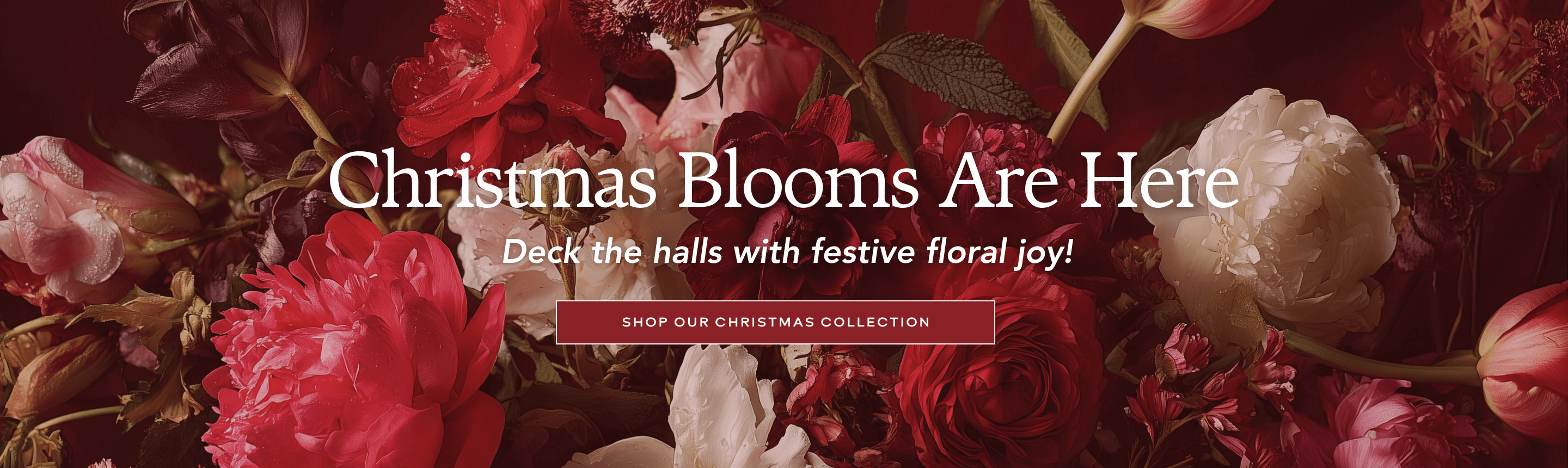 Abbott Florist Christmas Flowers