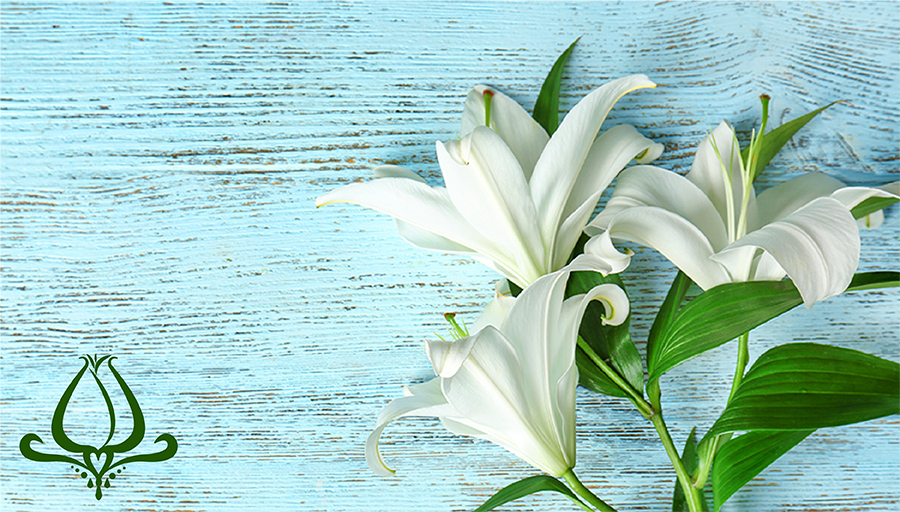 easter lily wallpaper