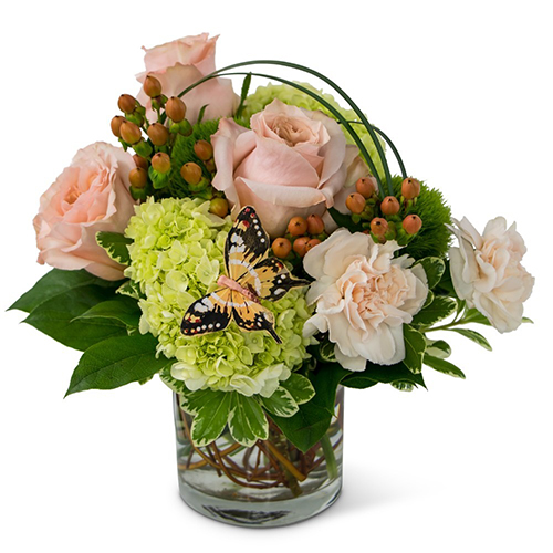 expressions-of-gratitude-arrangement-abbott-florist