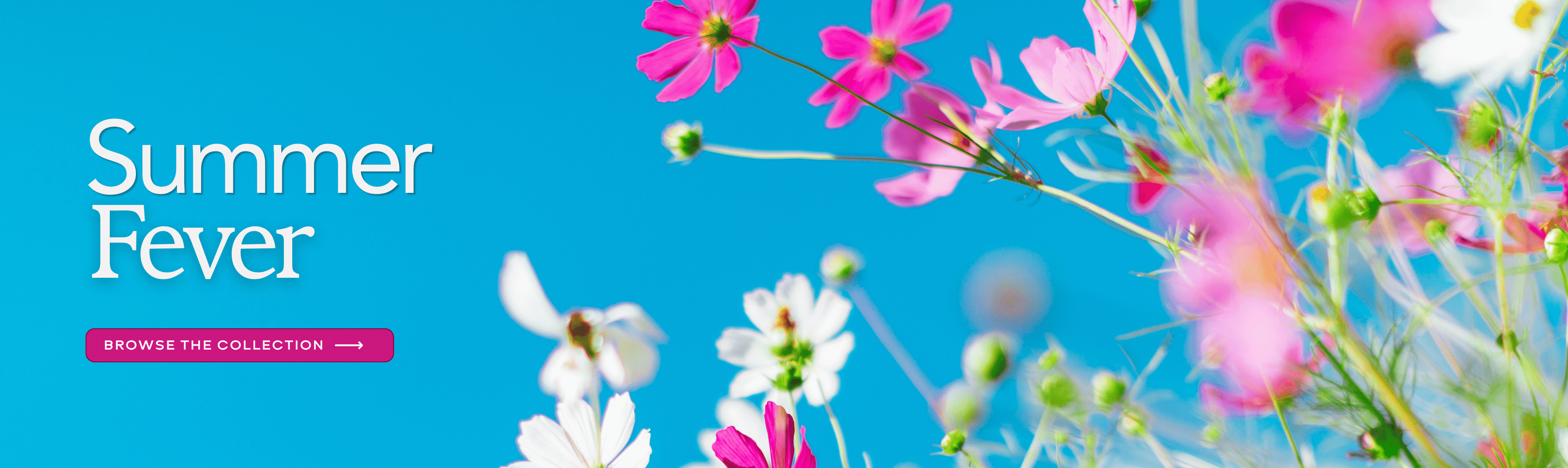 Abbott Florist Summer Flowers